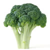 brocolli.jpg