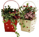 valentine_basket.jpg