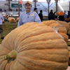 giant_pumpkin.gif